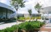 People sitting on a roof garden with walkways, blossoming small trees and shrubs